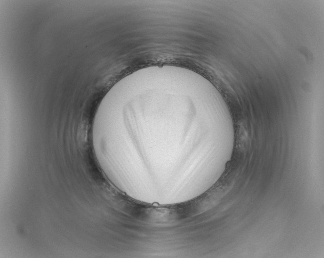 X0000114510230200911161301