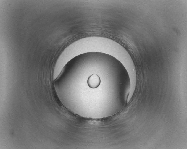 X0000114510233200911161301