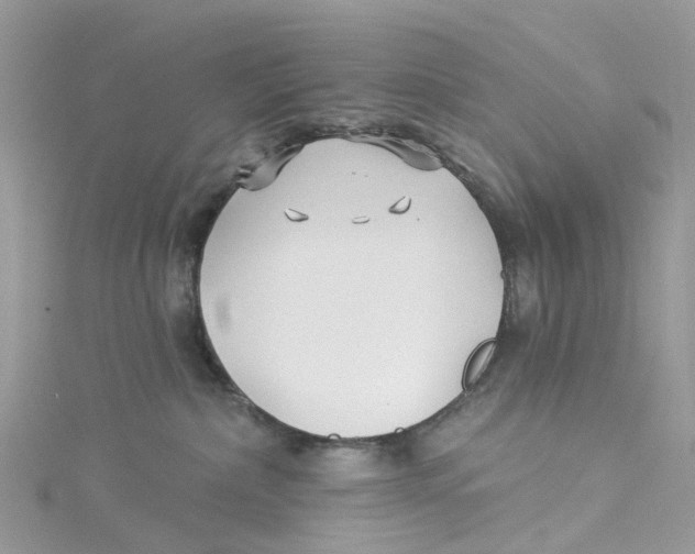 X0000114510236200911161301