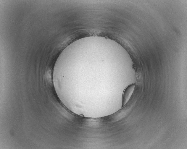 X0000114510238200911161301