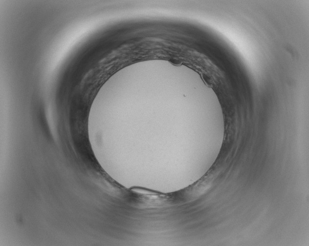 X0000114510239200911161301