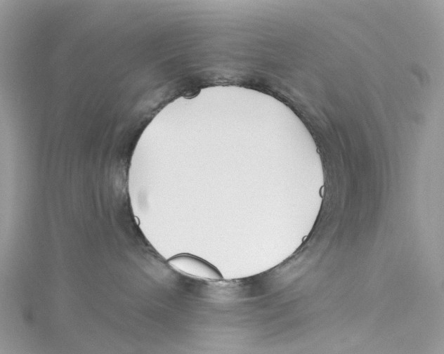 X0000114510240200911161301