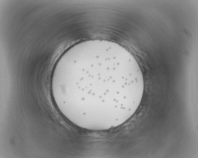 X0000114510241200911161301