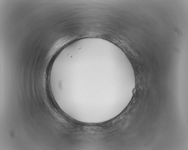 X0000114510242200911161301