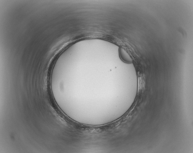 X0000114510243200911161301