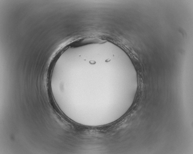 X0000114510244200911161301