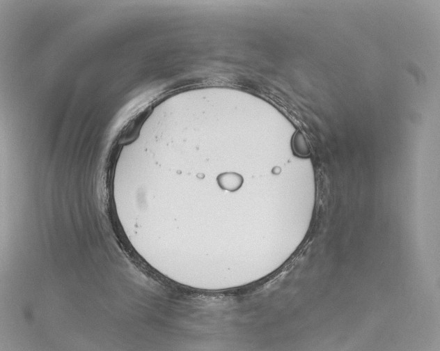 X0000114510245200911161301