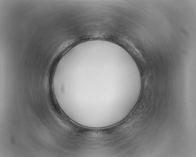 X0000114510250200911161301