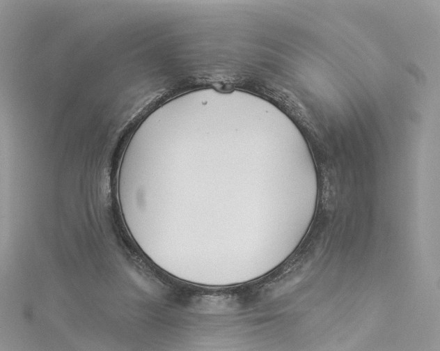 X0000114510251200911161301