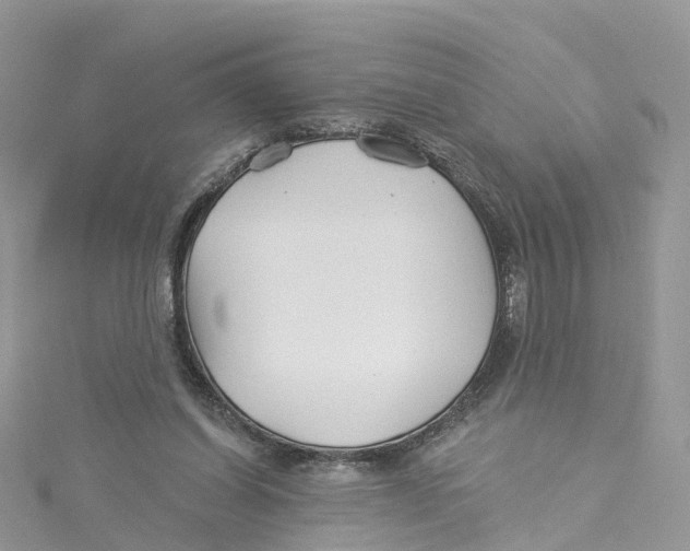 X0000114510254200911161301