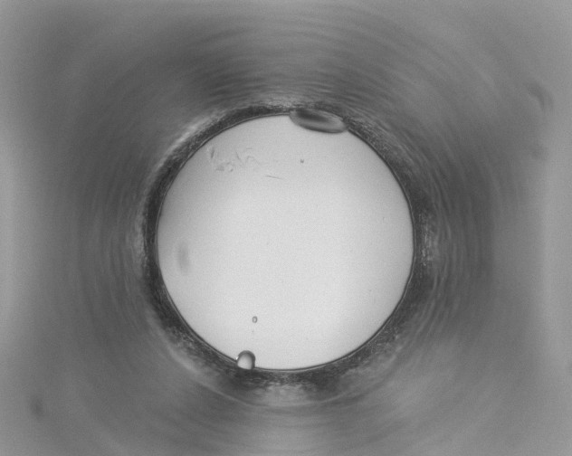 X0000114510256200911161301