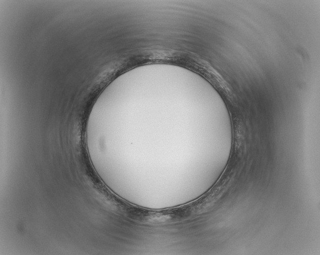 X0000114510257200911161301