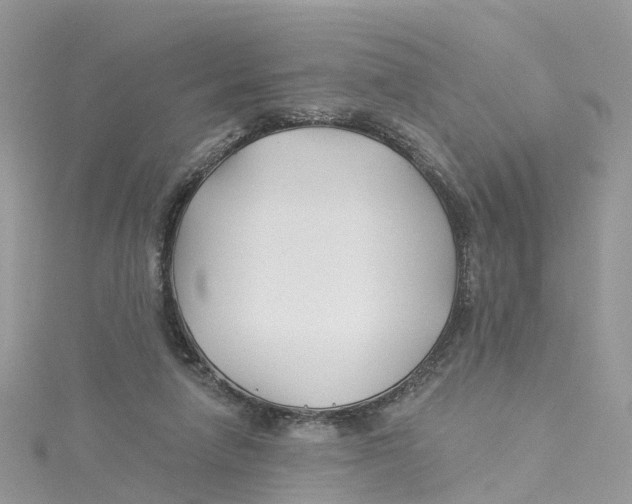 X0000114510258200911161301