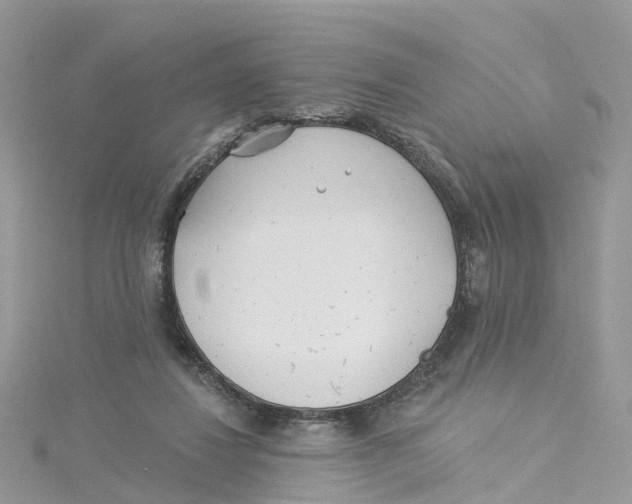 X0000114510260200911161301