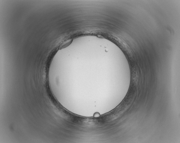 X0000114510261200911161301