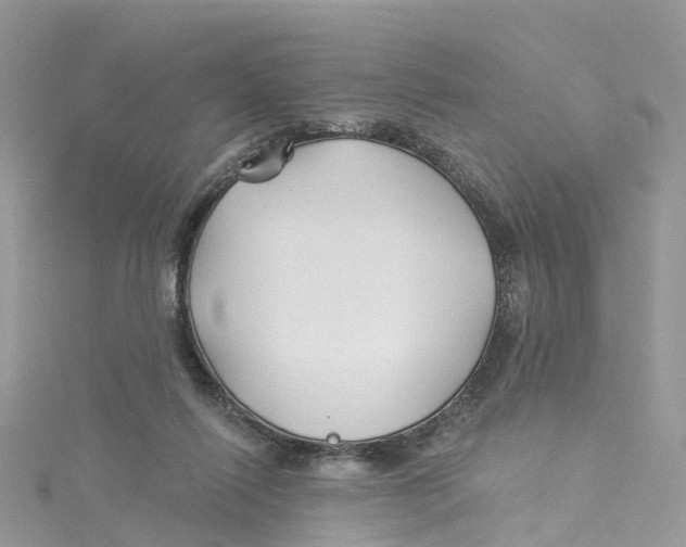 X0000114510262200911161301