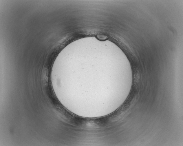 X0000114510264200911161301