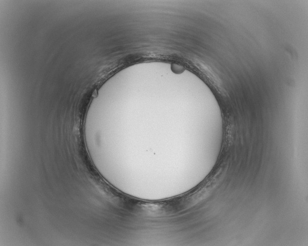 X0000114510265200911161301