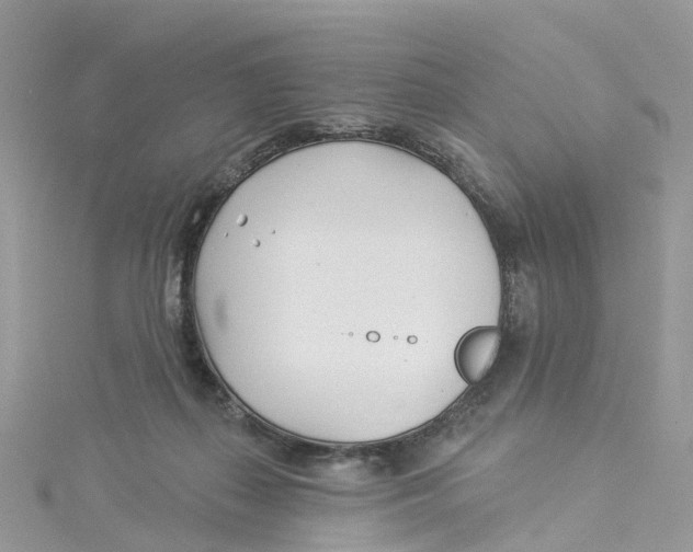 X0000114510267200911161301