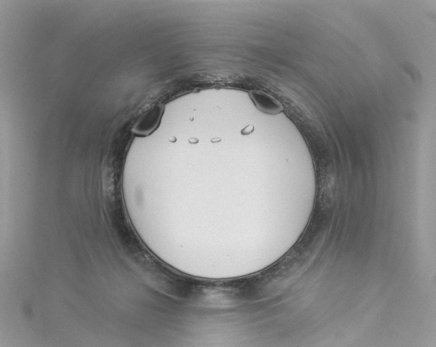 X0000114510268200911161301