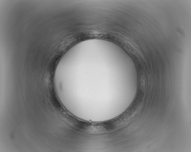 X0000114510270200911161301