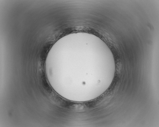 X0000114510272200911161301