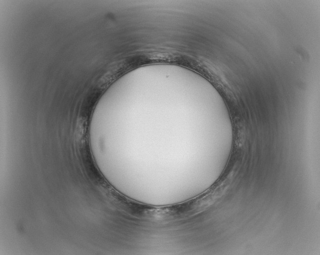 X0000114510273200911161301