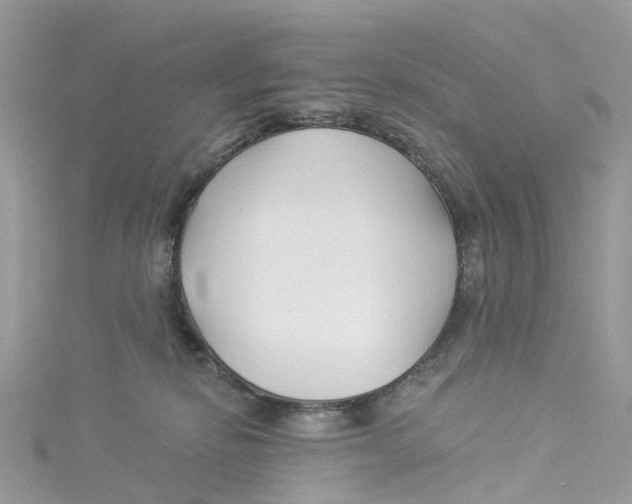 X0000114510278200911161301