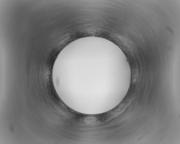 X0000114510279200911161301