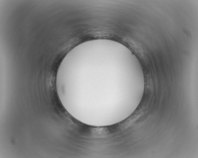 X0000114510281200911161301