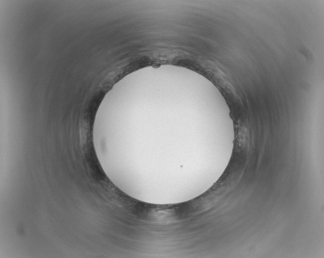 X0000114510283200911161301