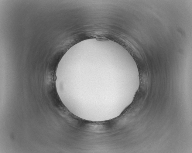 X0000114510284200911161301