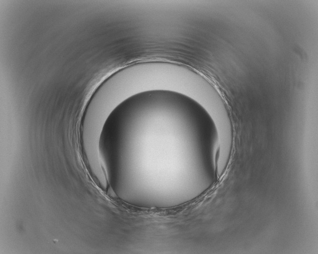 X0000114510289200911161301