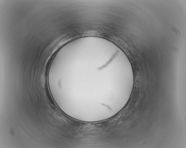 X0000114510290200911161301