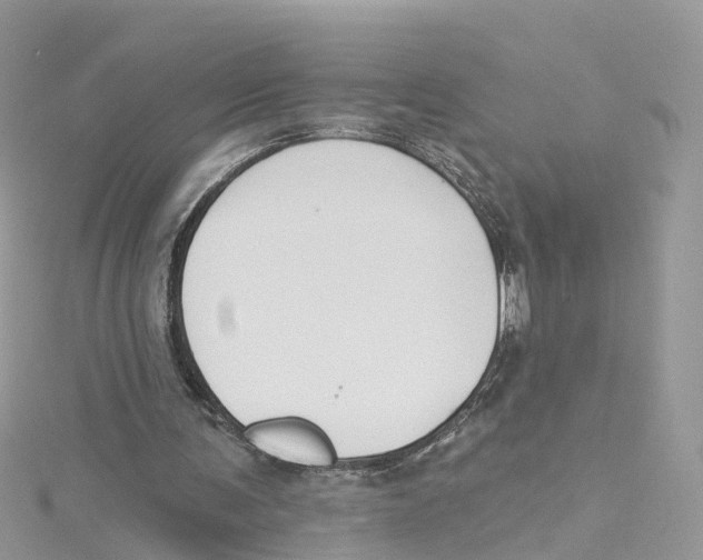 X0000114510291200911161301