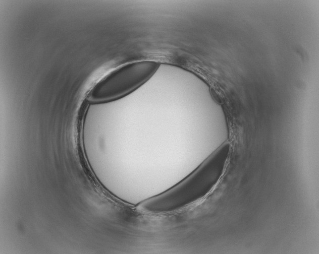 X0000114510294200911161301