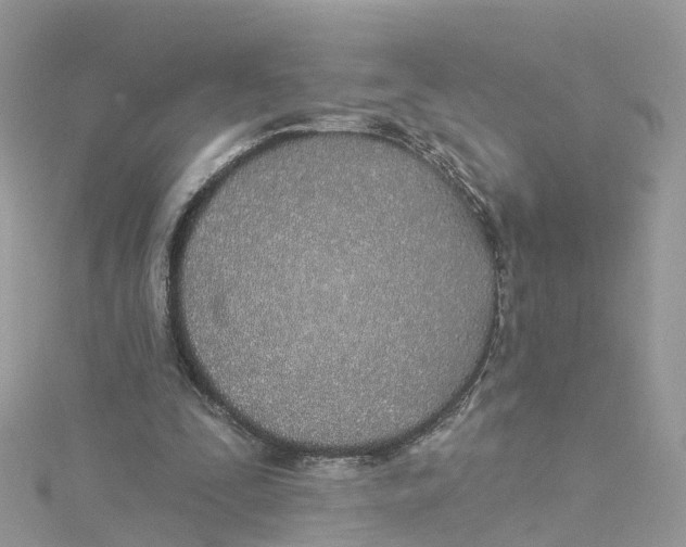 X0000114510295200911161301