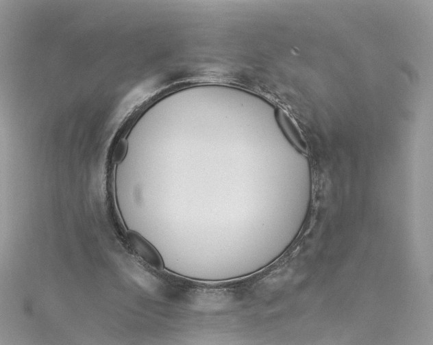 X0000114510296200911161301