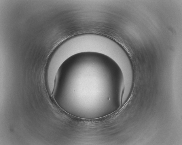 X0000114510297200911161301