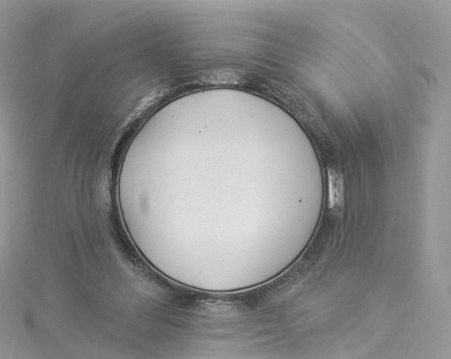 X0000114510300200911161301