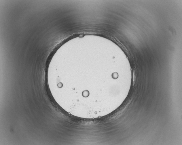 X0000114510301200911161301