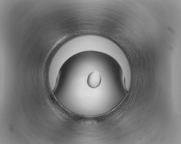 X0000114510304200911161301