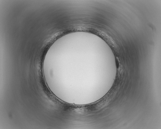 X0000114510306200911161301