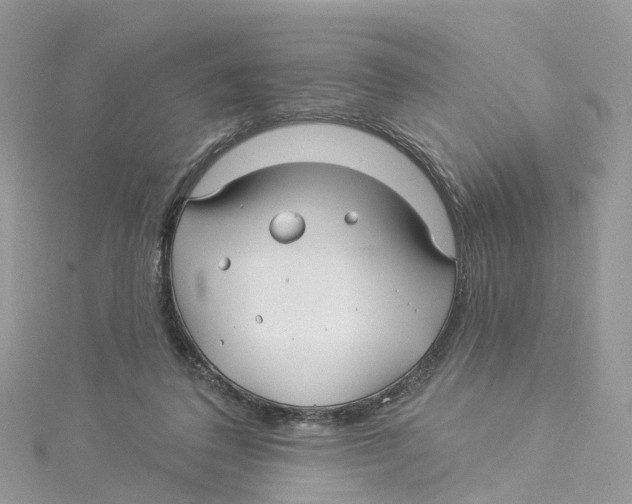 X0000114510308200911161300