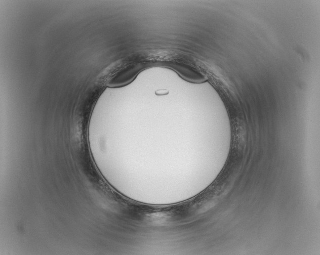 X0000114510312200911161300