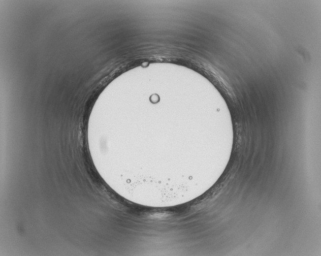 X0000114510313200911161300