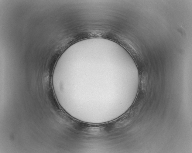 X0000114510314200911161300