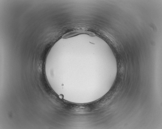 X0000114510315200911161300