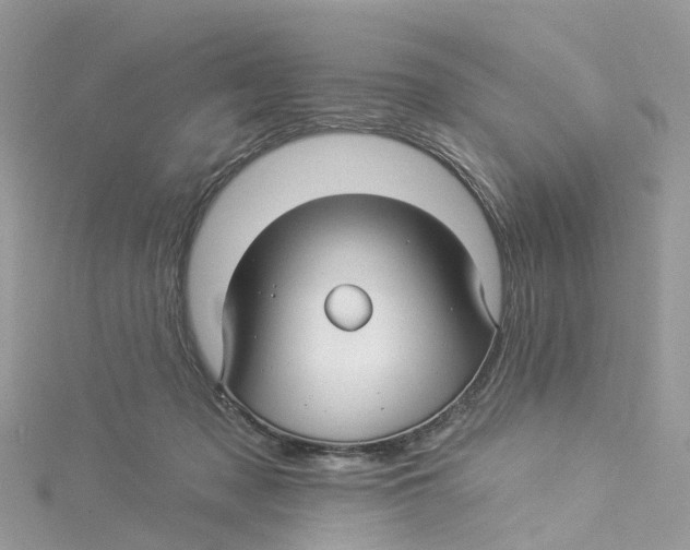 X0000114510317200911161300