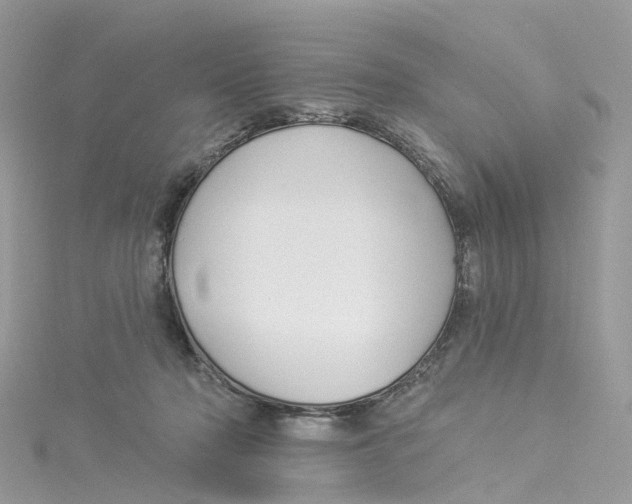 X0000114510318200911161300